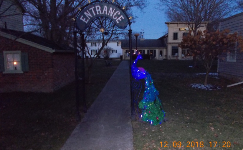 If Not a Hippopotamus or a Minibus – How About a Lighted Peacock for Christmas?